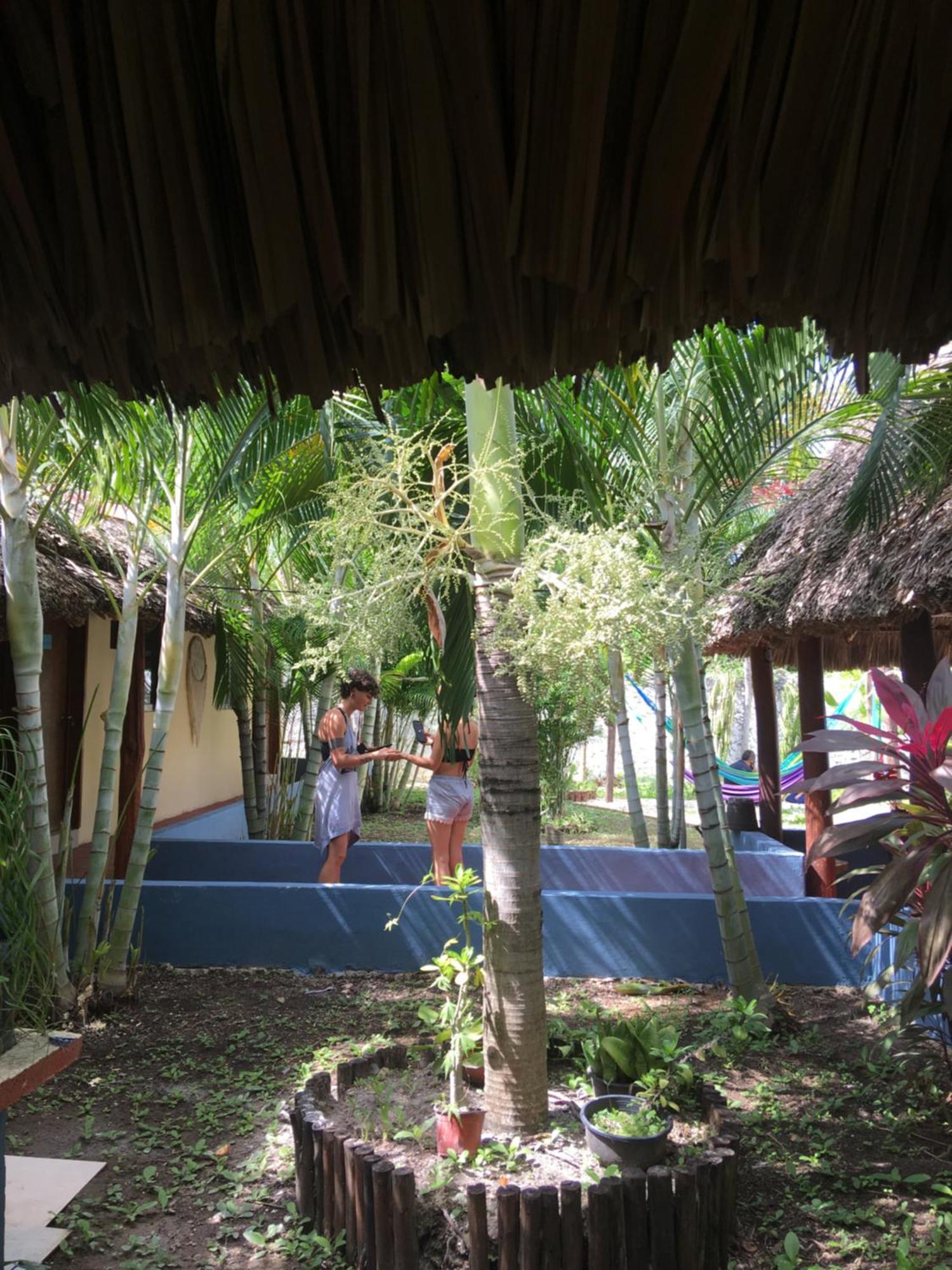 Casa Bokoba Bacalar Hotel Екстериор снимка